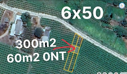Bán đất Thuận Quý - Hàm Thuận Nam 6x50 300m2