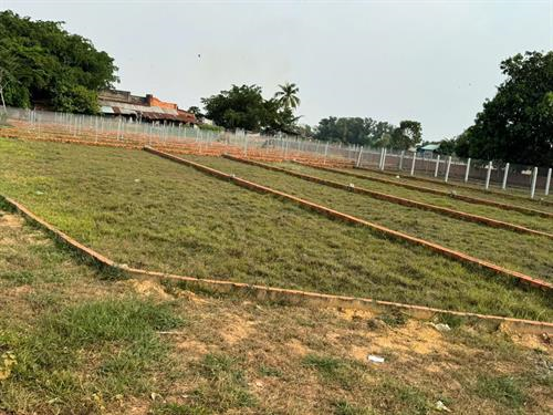 Bán đất chính chủ tại Bến Cầu, Tây Ninh