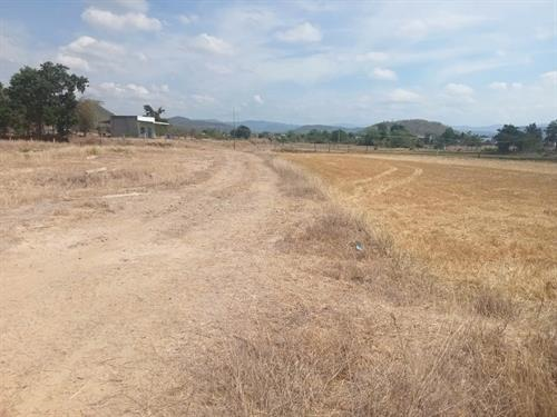 Bán Đất Hàm Thuận Bắc, Tỉnh Bình Thuân (cũ). Xã Thuận Hoà Lâm Đồng (mới)