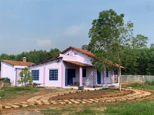 🌿 CHO THUÊ NHÀ VƯỜN NGUYÊN CĂN – KHÔNG GIAN SỐNG XANH GIỮA THIÊN NHIÊN TẠI PHƯỚC AN, NHƠN TRẠCH 🌿  