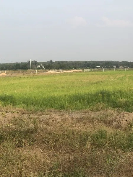 Công ty đo đạc địa chính phường Tây Nam – Dịch vụ chính xác, chuyên nghiệp | Dodacbinhthuan.com