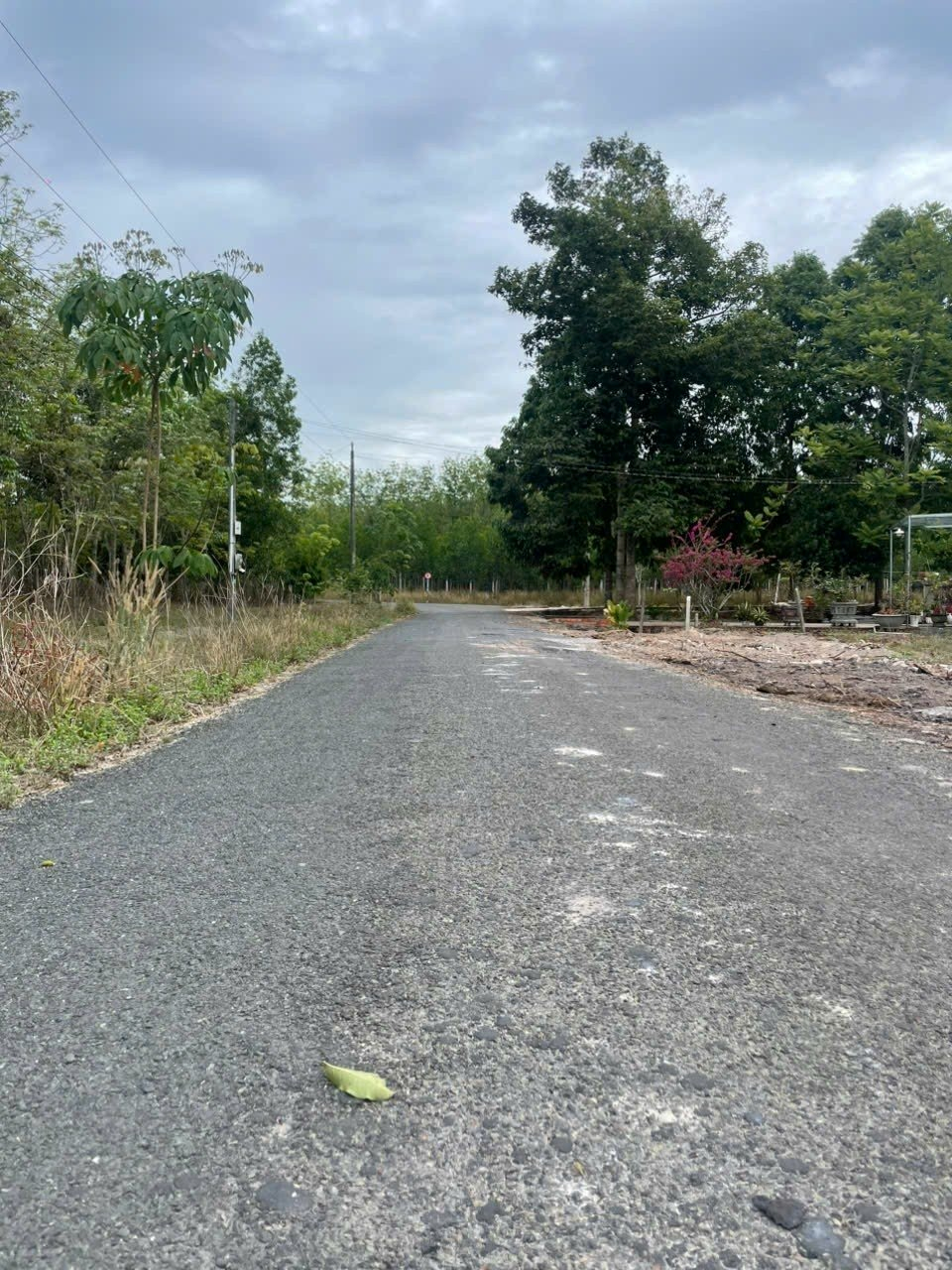 Dịch vụ đo đạc địa chính xã Minh Thạnh – Tư vấn tận nơi, chi phí hợp lý | Dodacbinhthuan.com