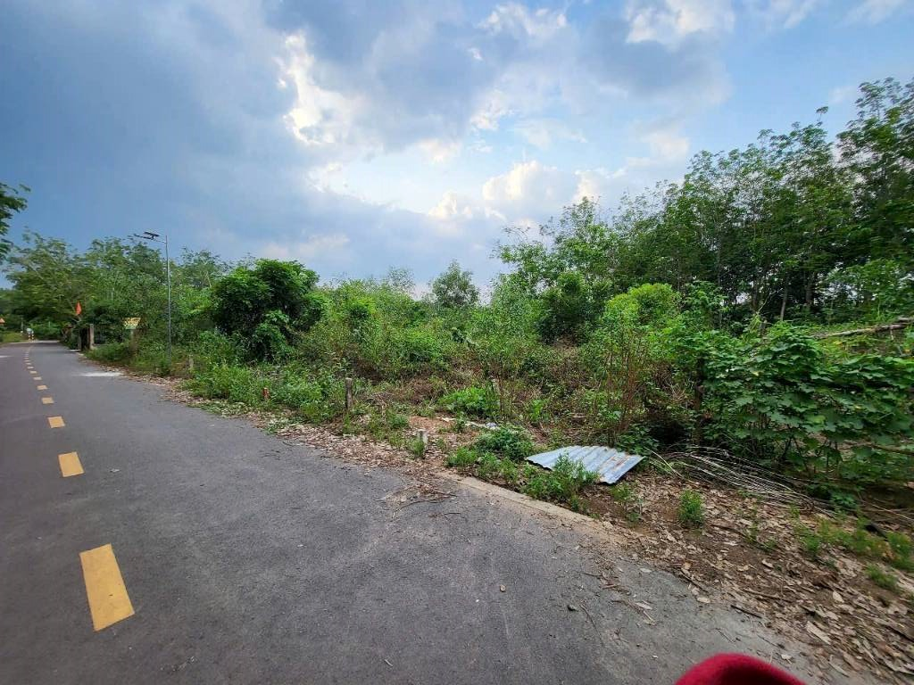 Công ty đo đạc địa chính xã Phước Hòa – Hỗ trợ pháp lý đất đai uy tín | Dodacbinhthuan.com