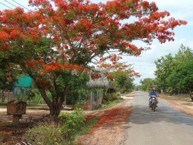 Công Ty Đo Vẽ Nhà Đất – Đo Đạc Chính Xác, Hợp Pháp Xã Hòa Hội | Dodacbinhthuan.com
